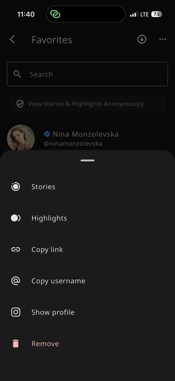 Action menu in IncoStory — choose Stories or Highlights to load and watch anonymously