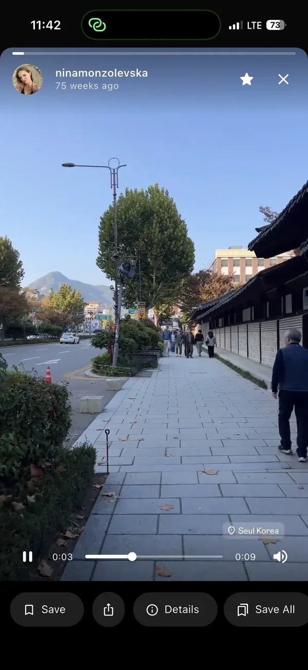 Save button in the IncoStory player — download an individual Instagram Highlight to your device